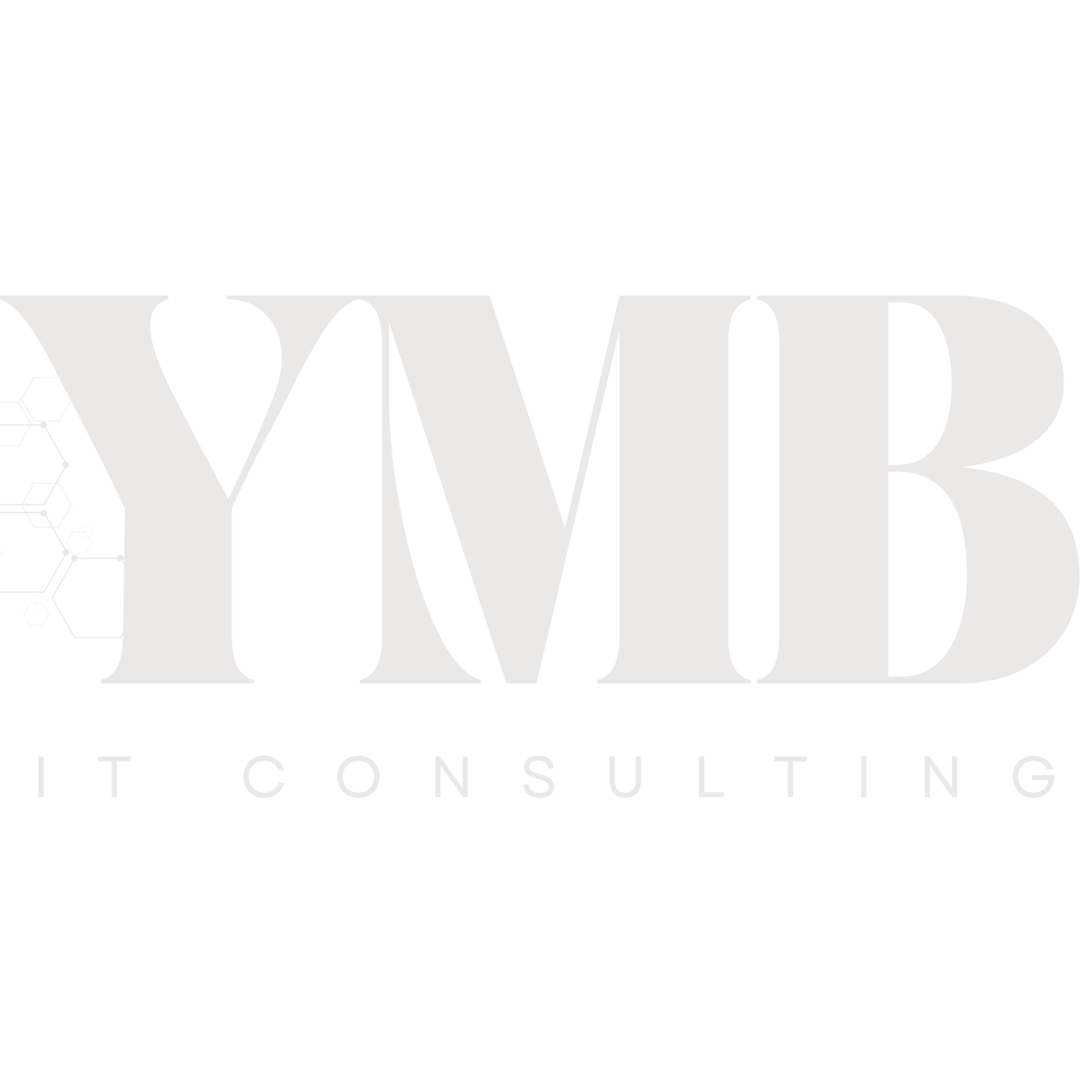 Youth Minded Business IT Consulting